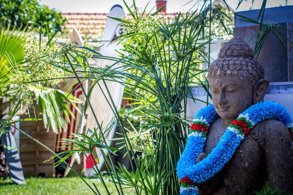 Villa Zenith Hostel-La Surf House Lacanau Eksteriør billede